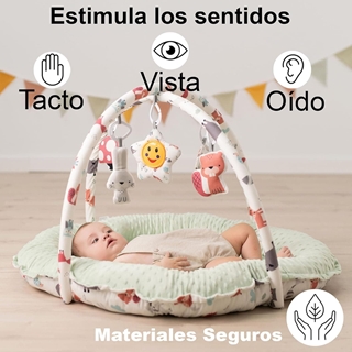 GIMNASIO ACTIVIDADES CON ARCOS OLMITOS - Imagen 2