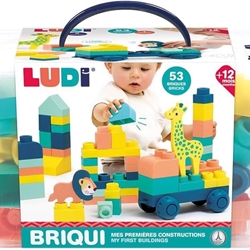 LUDI BRIQUI PRIMERAS CONSTRUCCIONES - Imagen 2